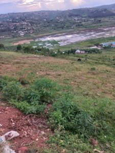 Plot for sale in Ruyenzi