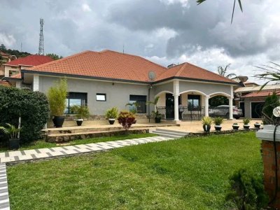 House for rent in Rebero