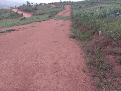 Plot for sale in Bumbogo