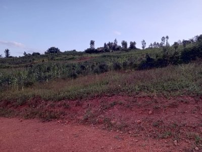 Plot for sale in Bumbogo