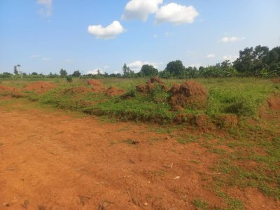 Plot for sale in Masaka Rusheshe