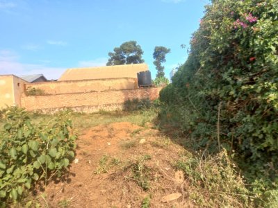 Plot for sale in Masaka
