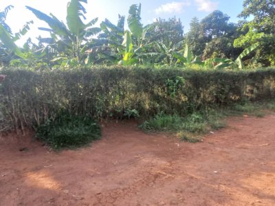 Plot for sale in Rusheshe