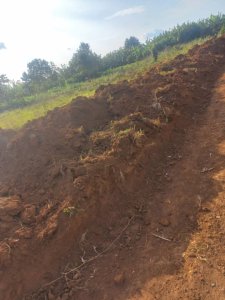 Plot for sale in Masaka