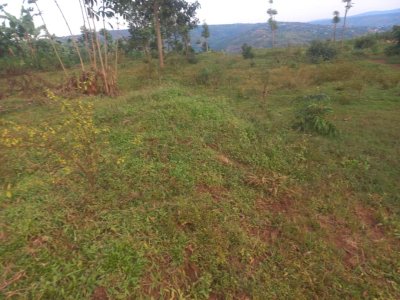 Plot for sale in Muyumbu