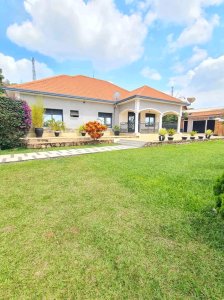 House for rent in Rebero