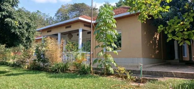 House for rent in Kiyovu