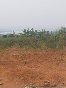 Plot for sale in Bugesera