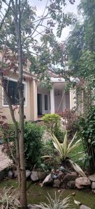 House for rent in Kiyovu