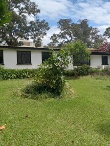 House for rent in Kiyovu