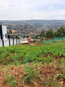 Plot for sale in Rebero