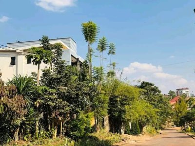 Apartment for rent in Remera