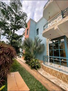 House for rent