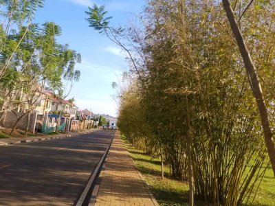 House for rent in Rusororo